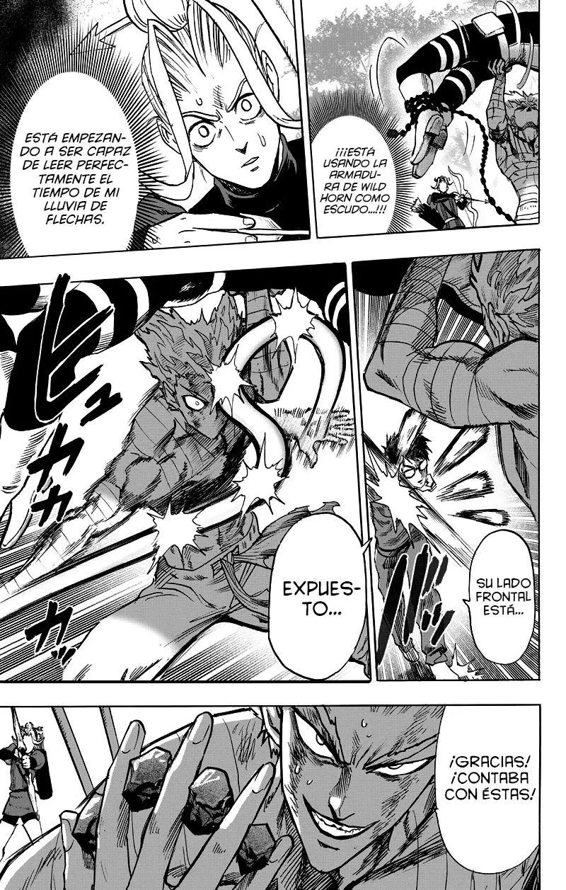 One Punch Man (2012) - Capítulo 123 - Página 17 - LectorTMOo
