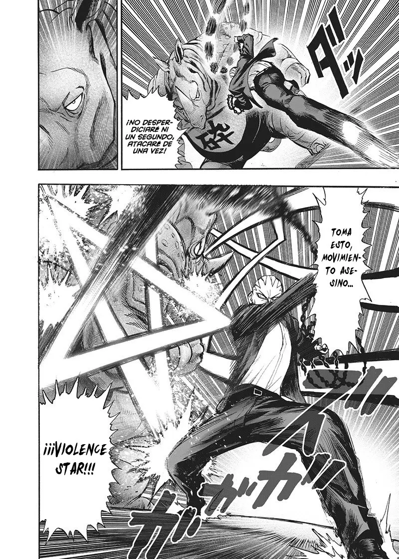One Punch Man (2012) - Capítulo 135.5 - Página 24 - LectorTMOo