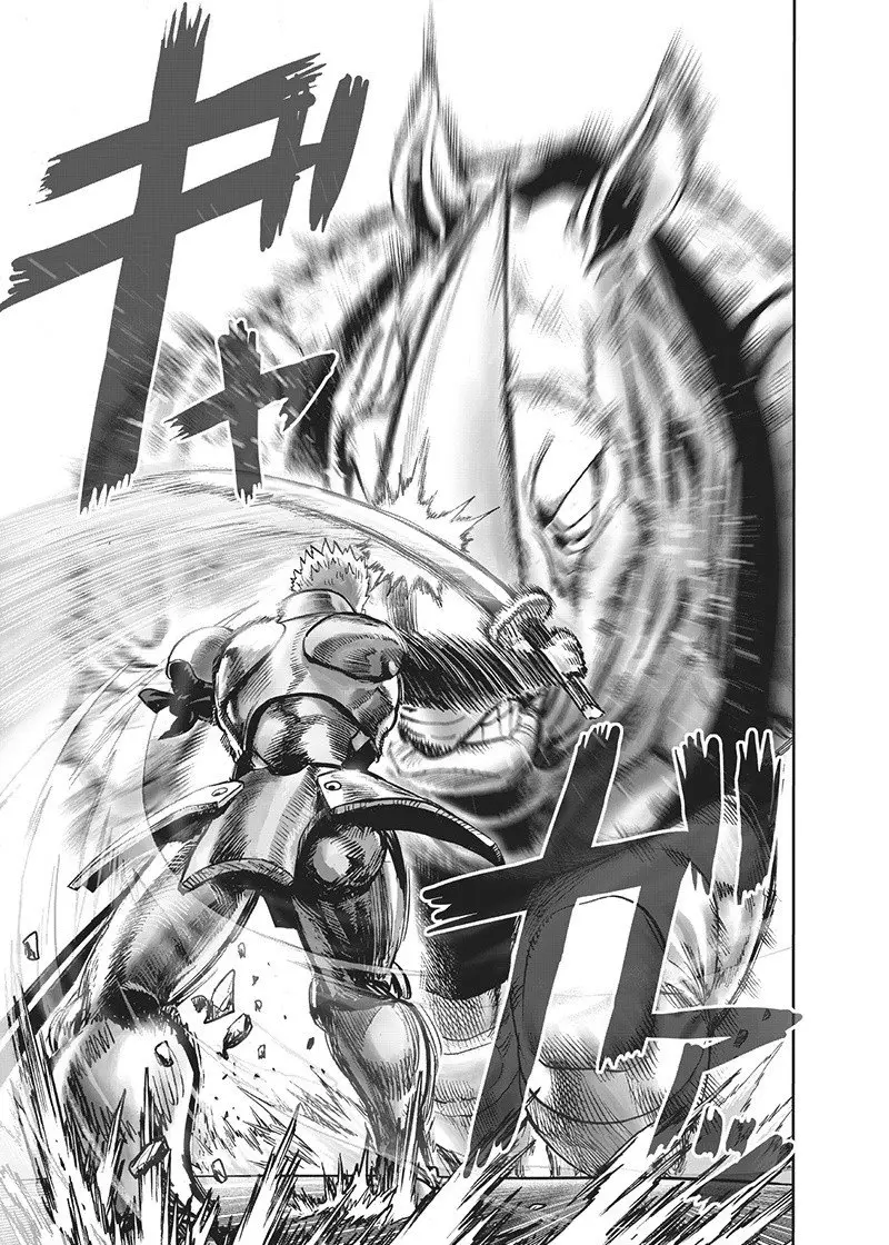 One Punch Man (2012) - Capítulo 135.5 - Página 35 - LectorTMOo