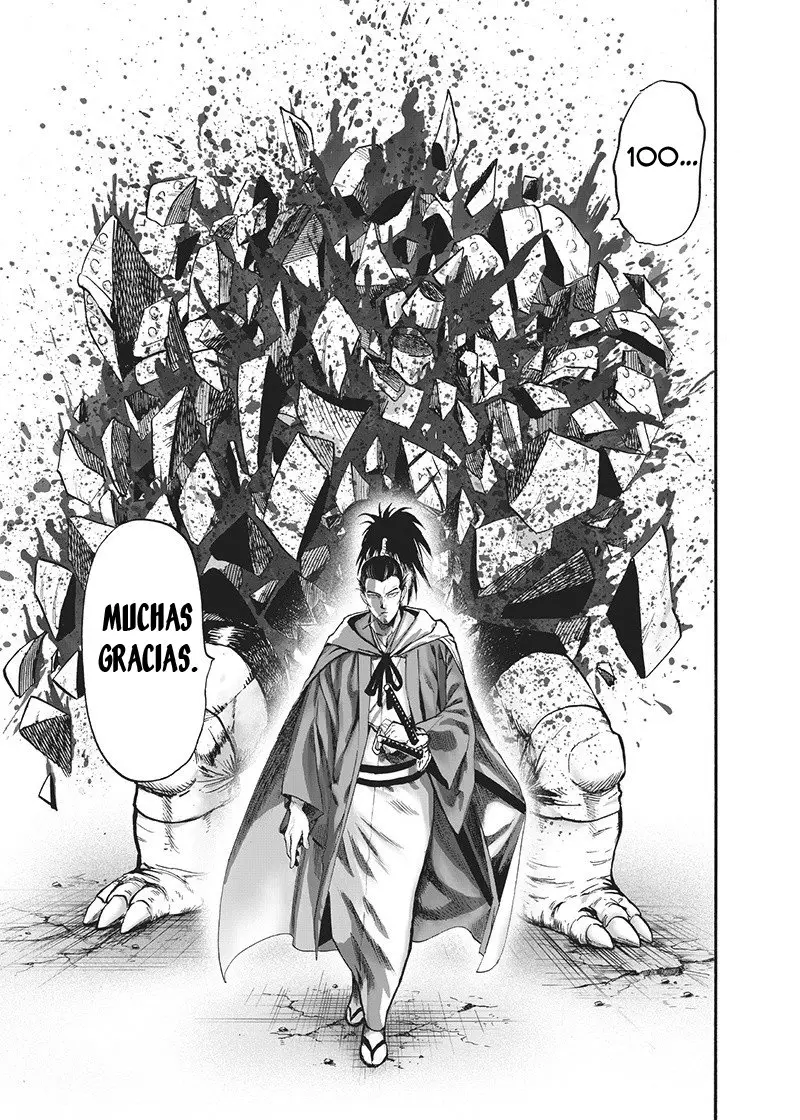 One Punch Man (2012) - Capítulo 135.5 - Página 49 - LectorTMOo