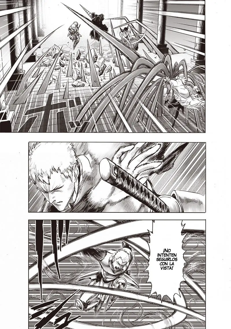 One Punch Man (2012) - Capítulo 147.5 - Página 27 - LectorTMOo