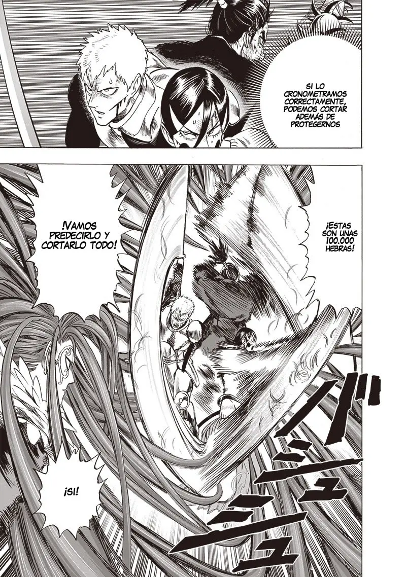 One Punch Man (2012) - Capítulo 147.5 - Página 33 - LectorTMOo