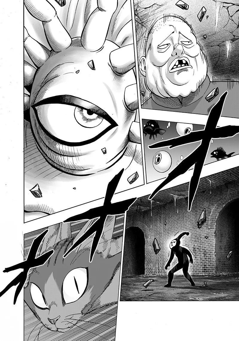One Punch Man (2012) - Capítulo 148 - Página 24 - LectorTMOo