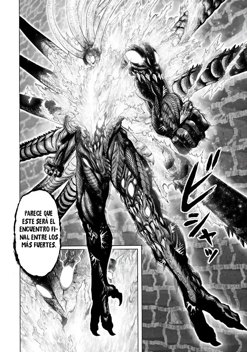 One Punch Man (2012) - Capítulo 150 - Página 15 - LectorTMOo
