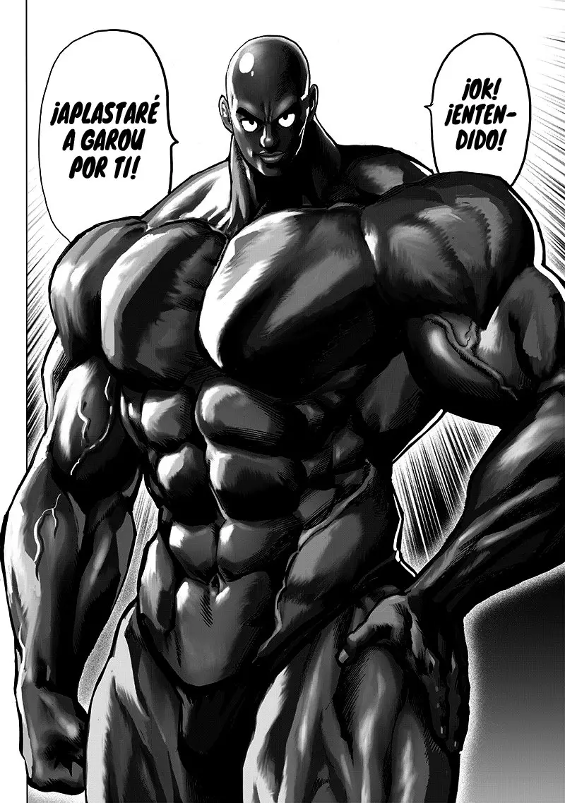 One Punch Man (2012) - Capítulo 163 - Página 10 - LectorTMOo