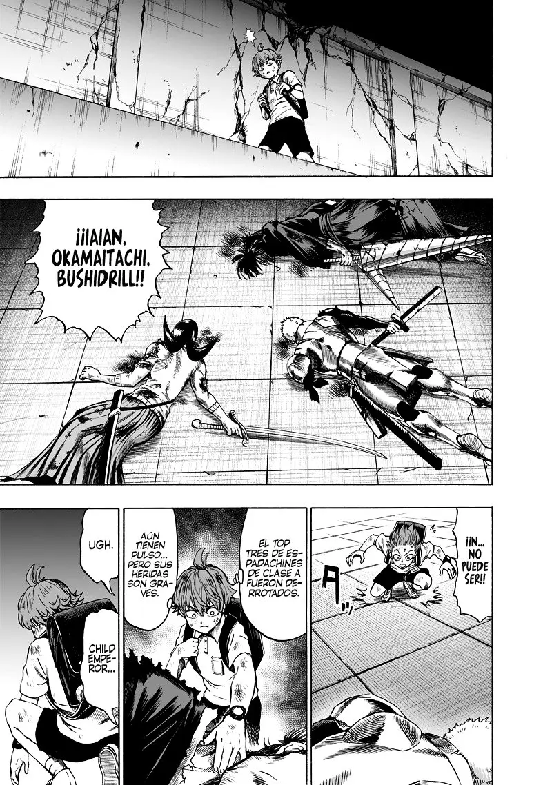 One Punch Man (2012) - Capítulo 163 - Página 14 - LectorTMOo