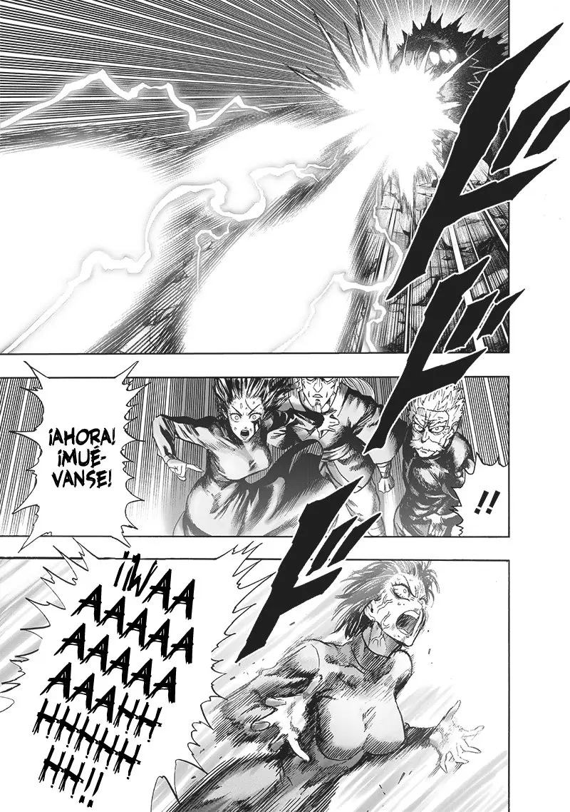 One Punch Man (2012) - Capítulo 166 - Página 14 - LectorTMOo