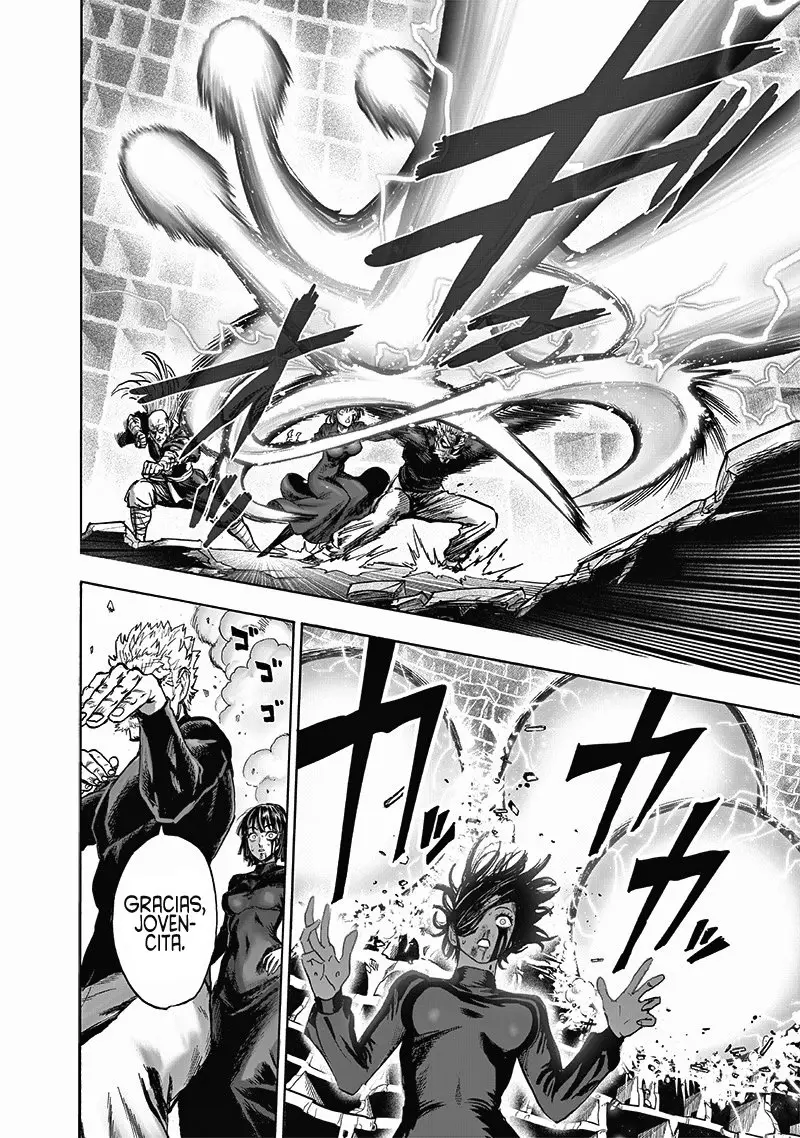 One Punch Man (2012) - Capítulo 166 - Página 15 - LectorTMOo