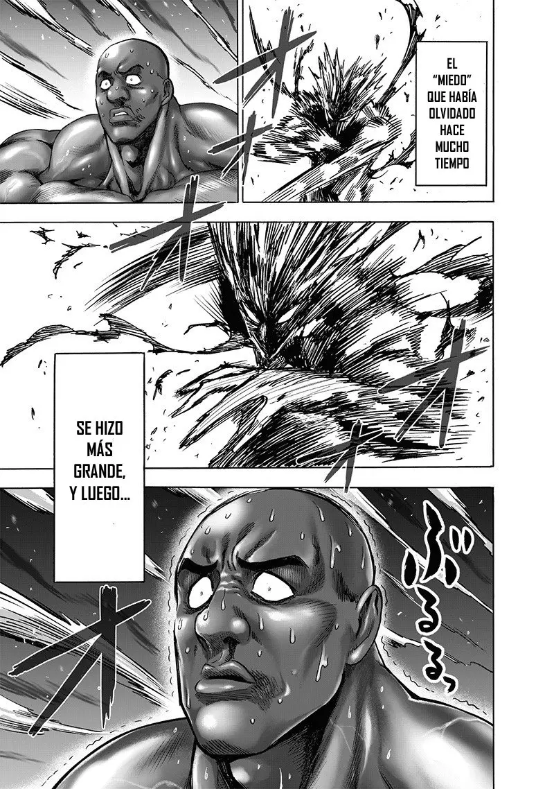One Punch Man (2012) - Capítulo 172 - Página 17 - LectorTMOo
