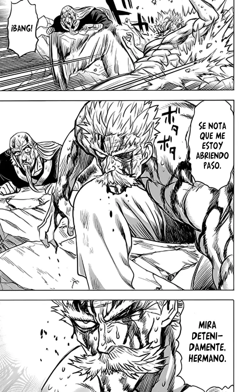 One Punch Man (2012) - Capítulo 193 - Página 24 - LectorTMOo