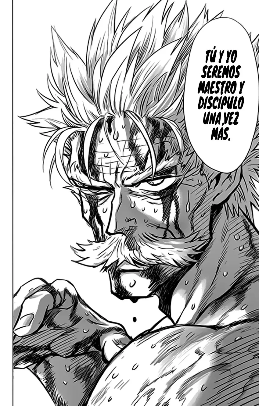 One Punch Man (2012) - Capítulo 193 - Página 29 - LectorTMOo