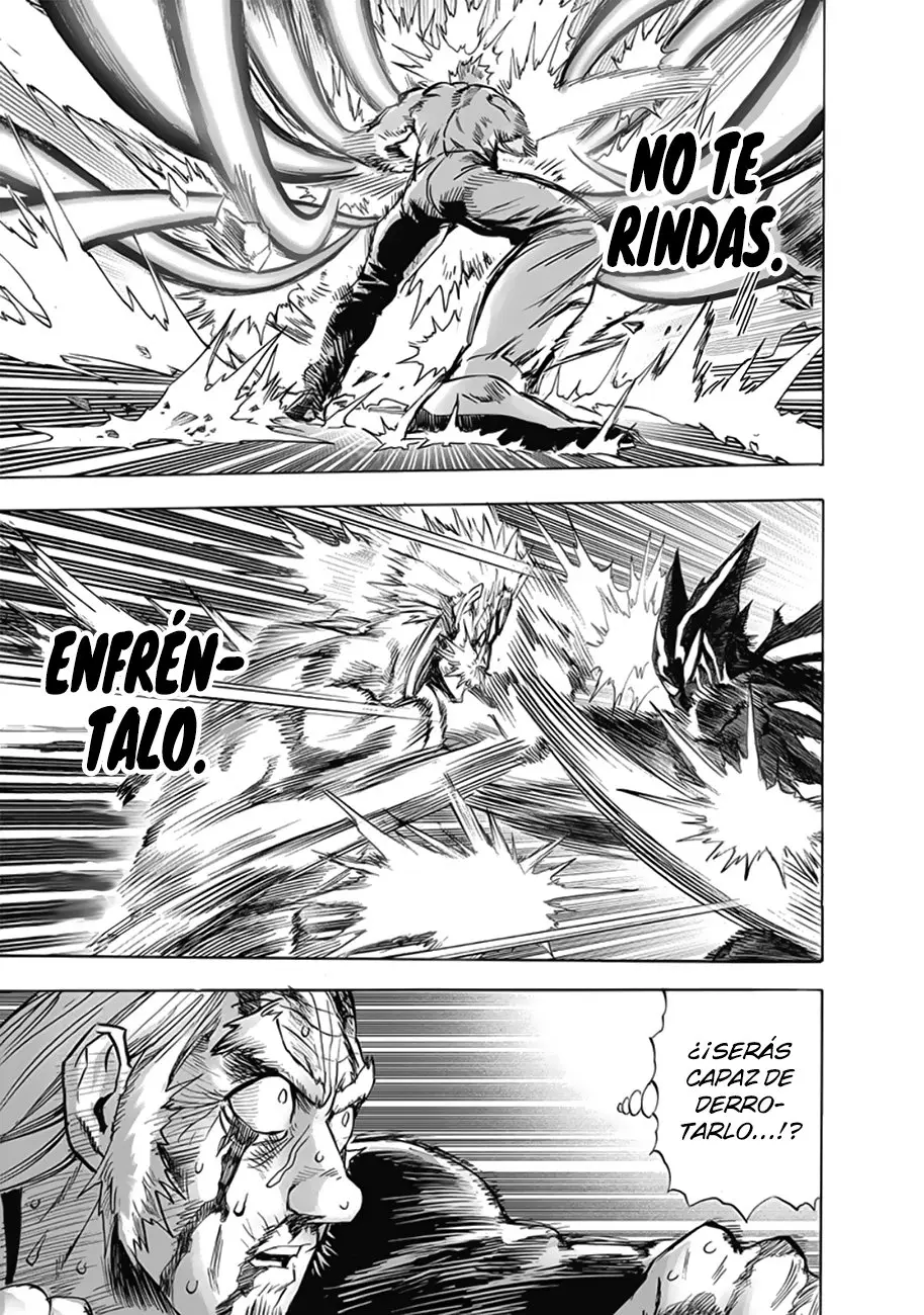 One Punch Man (2012) - Capítulo 196 - Página 17 - LectorTMOo