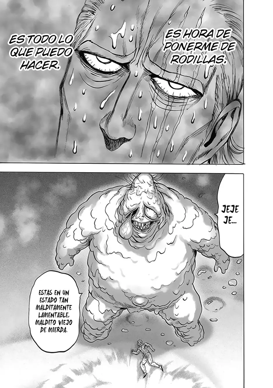 One Punch Man (2012) - Capítulo 197 - Página 14 - LectorTMOo