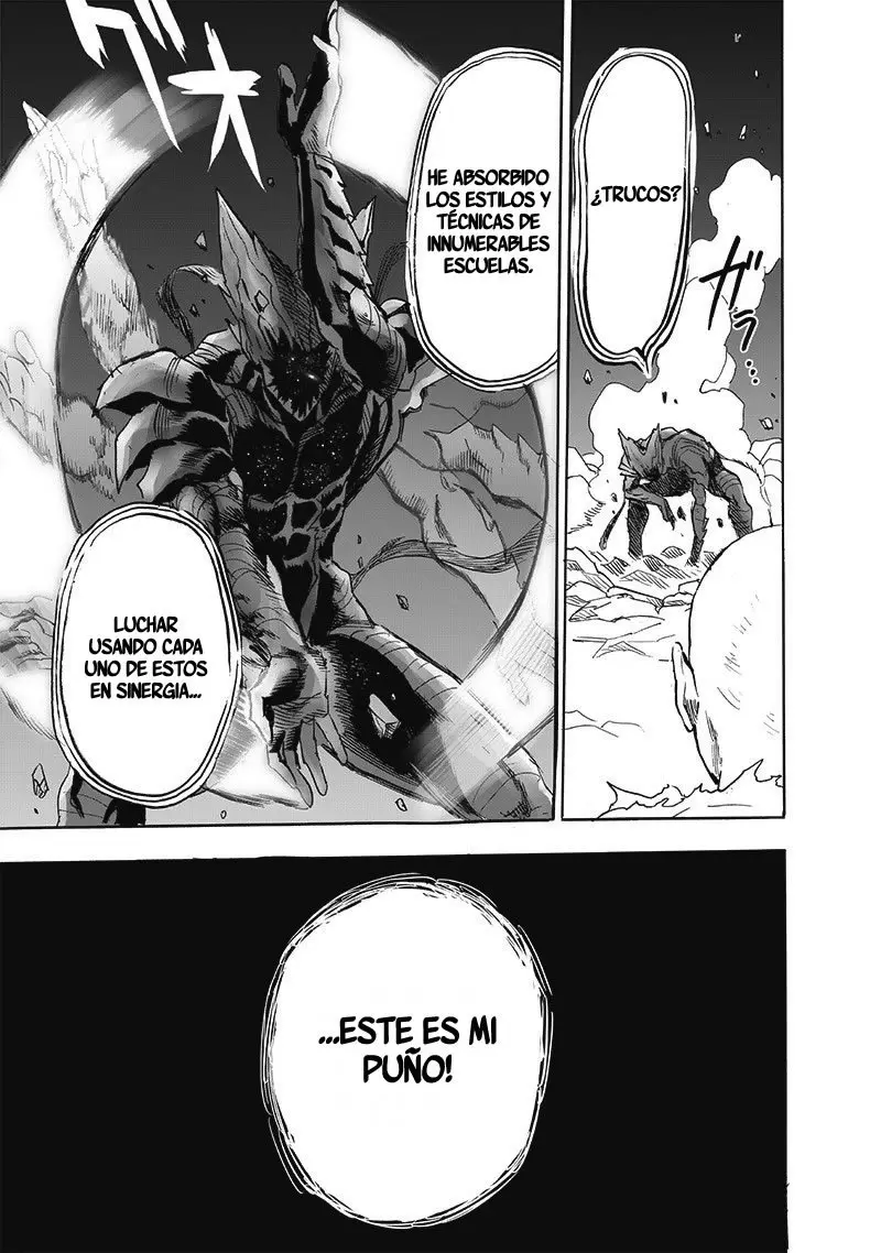 One Punch Man (2012) - Capítulo 210 - Página 25 - LectorTMOo