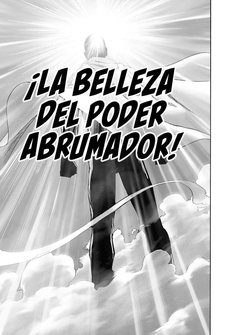 One Punch Man (2012) - Capítulo 218 - Página 17 - LectorTMOo