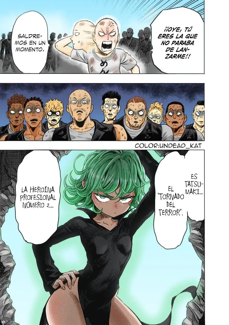One Punch Man (2012) - Capítulo 223 - Página 17 - LectorTMOo