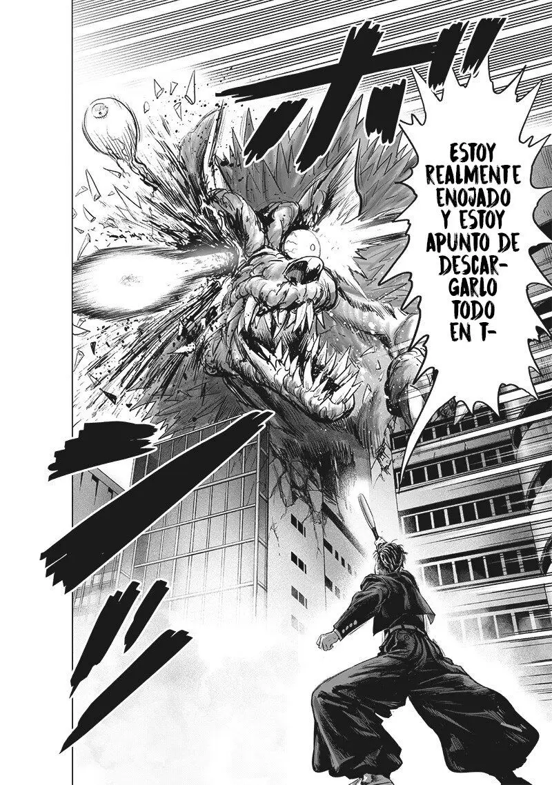 One Punch Man (2012) - Capítulo 223 - Página 29 - LectorTMOo