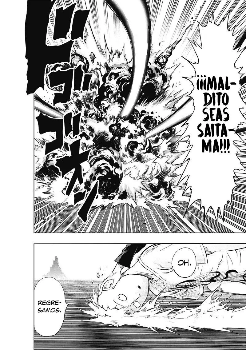 One Punch Man (2012) - Capítulo 224 - Página 17 - LectorTMOo