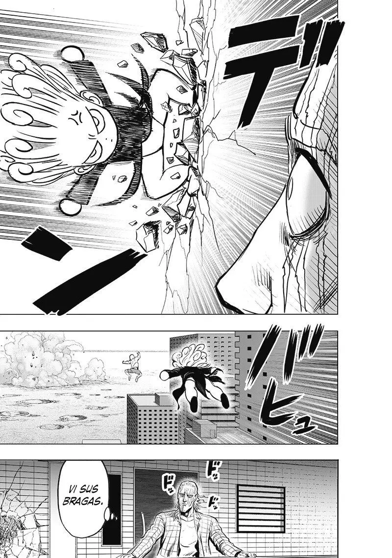 One Punch Man (2012) - Capítulo 224 - Página 29 - LectorTMOo