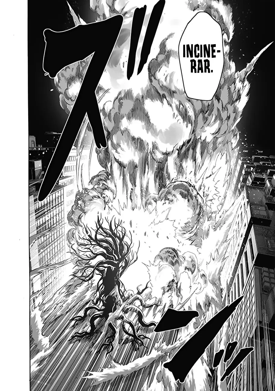 One Punch Man (2012) - Capítulo 228 - Página 25 - LectorTMOo