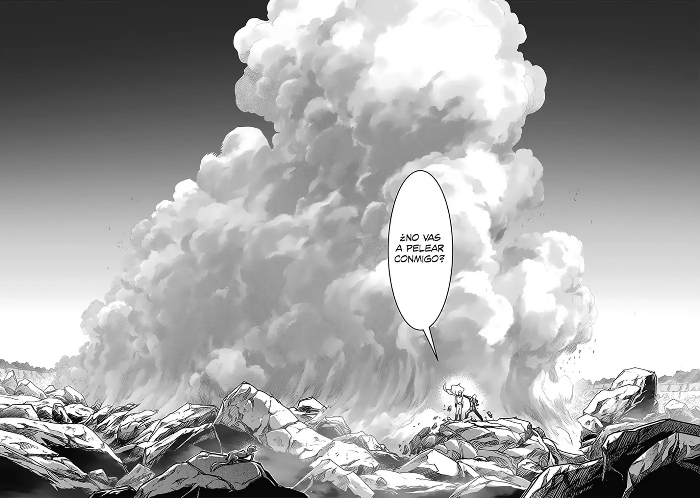 One Punch Man (2012) - Capítulo 229 - Página 15 - LectorTMOo
