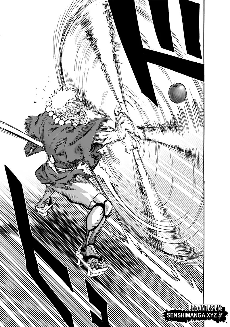 One Punch Man (2012) - Capítulo 231 - Página 13 - LectorTMOo