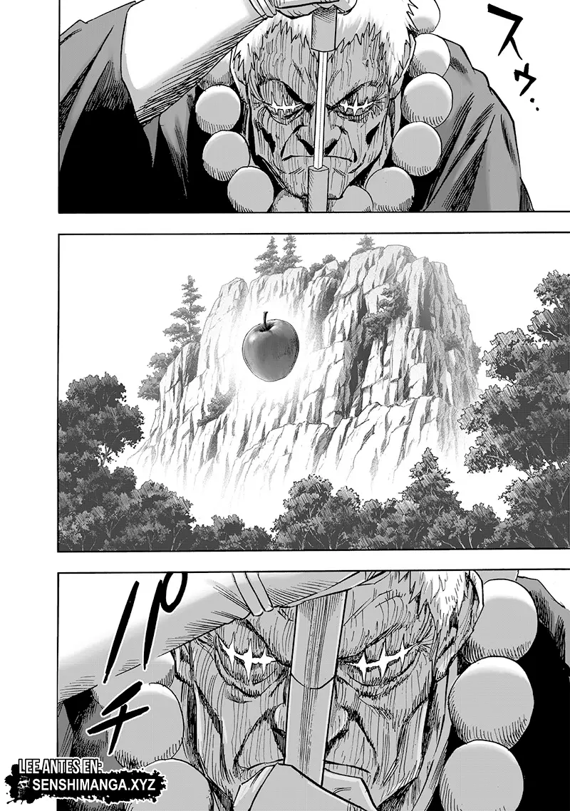 One Punch Man (2012) - Capítulo 231 - Página 14 - LectorTMOo