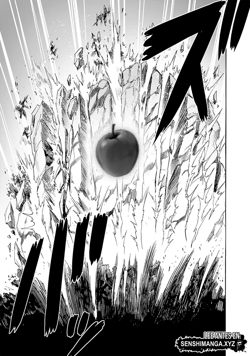One Punch Man (2012) - Capítulo 231 - Página 15 - LectorTMOo