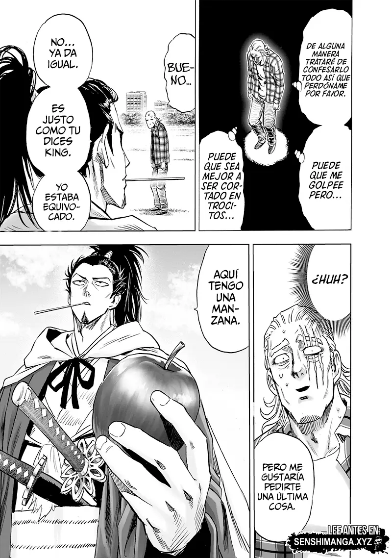One Punch Man (2012) - Capítulo 232 - Página 17 - LectorTMOo