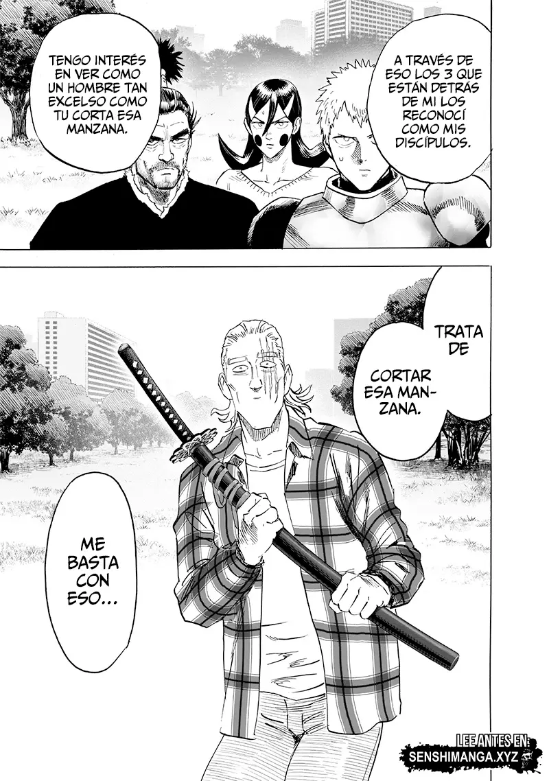 One Punch Man (2012) - Capítulo 232 - Página 19 - LectorTMOo