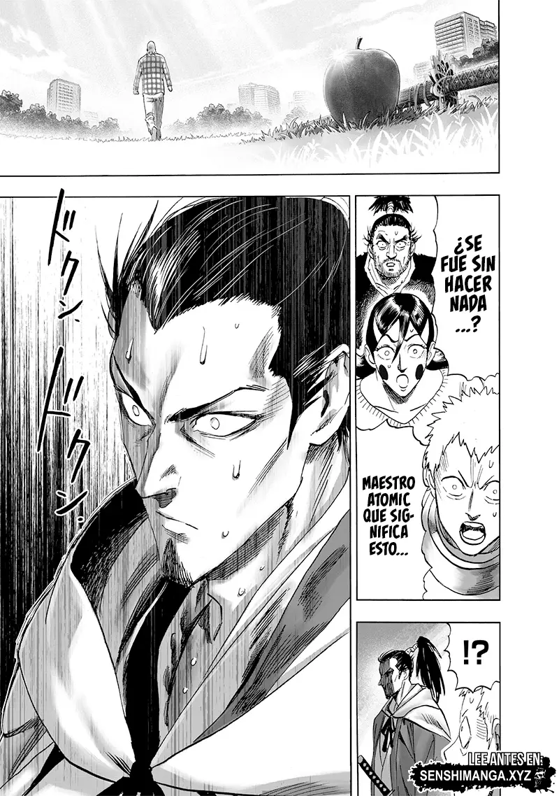One Punch Man (2012) - Capítulo 232 - Página 25 - LectorTMOo