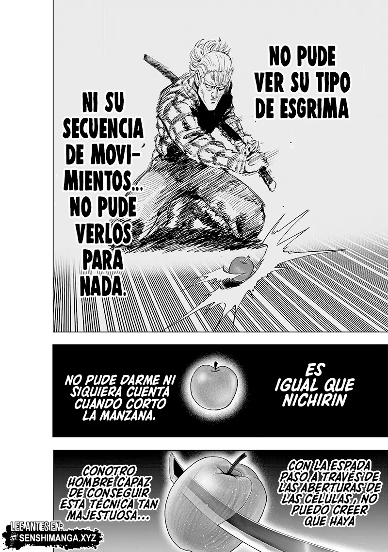 One Punch Man (2012) - Capítulo 232 - Página 26 - LectorTMOo