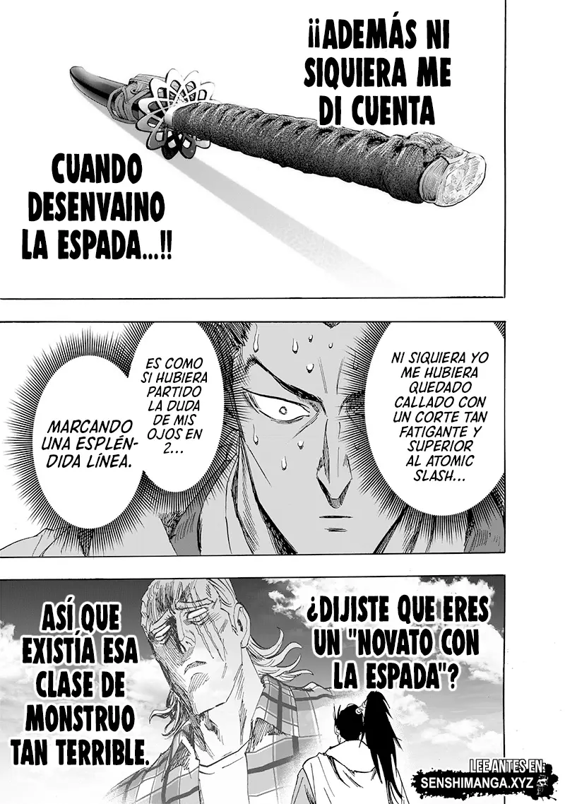One Punch Man (2012) - Capítulo 232 - Página 27 - LectorTMOo