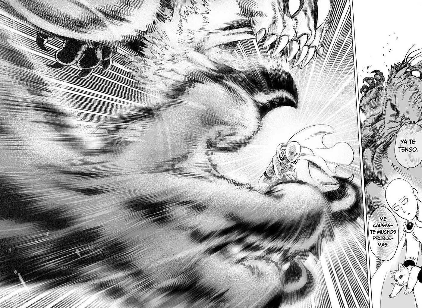 One Punch Man (2012) - Capítulo 63.05 - Página 29 - LectorTMOo