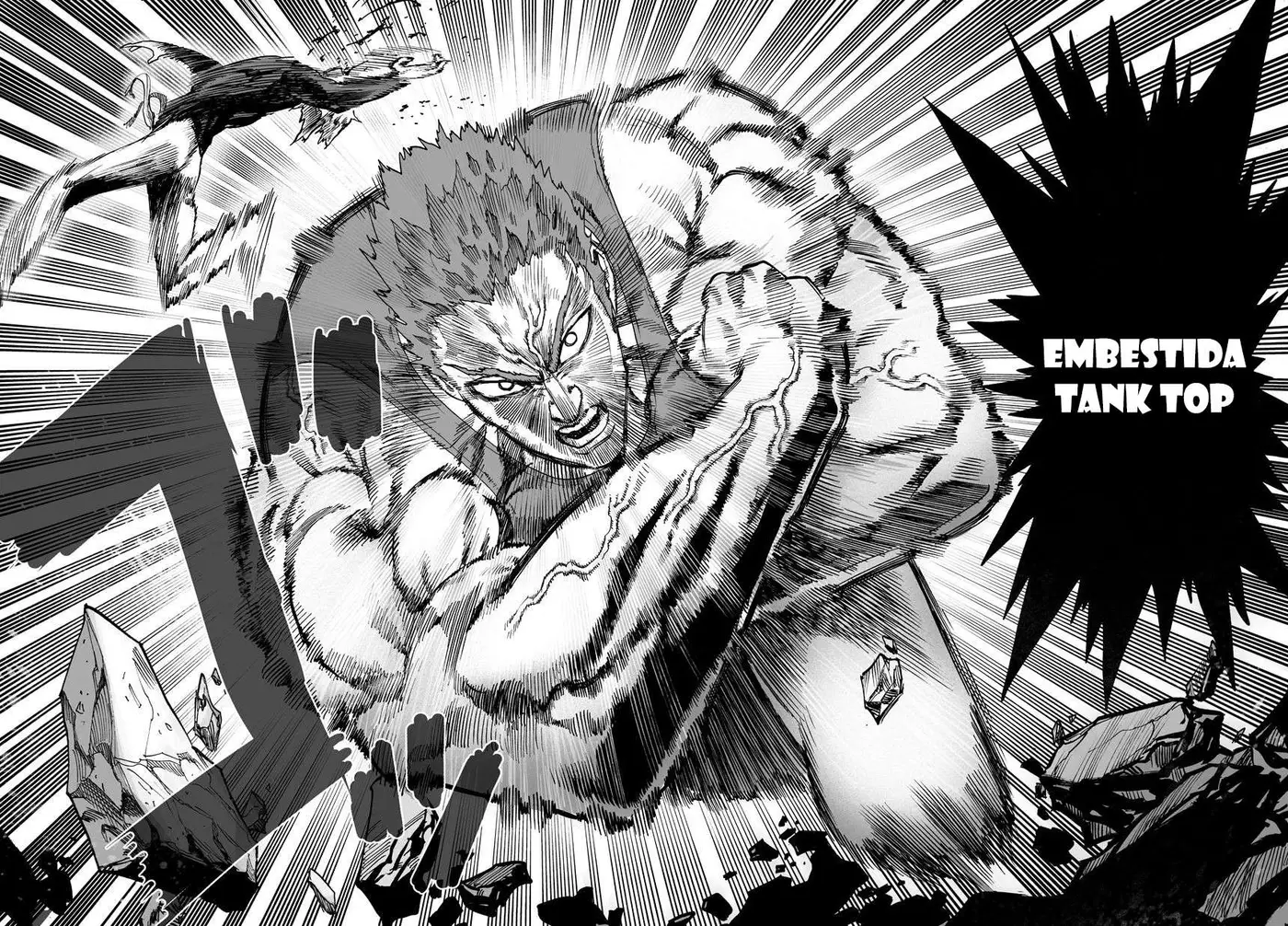 One Punch Man (2012) - Capítulo 67.05 - Página 17 - LectorTMOo