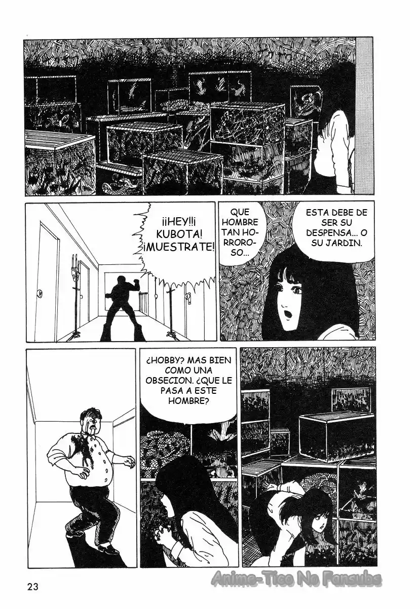 One-shots de Junji Ito (2017) - Capítulo 2 - Página 17 - LectorTMOo