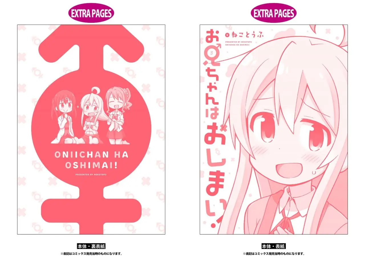 Onii-chan wa Oshimai - Capítulo 10.9 - Página 19 - LectorTMOo