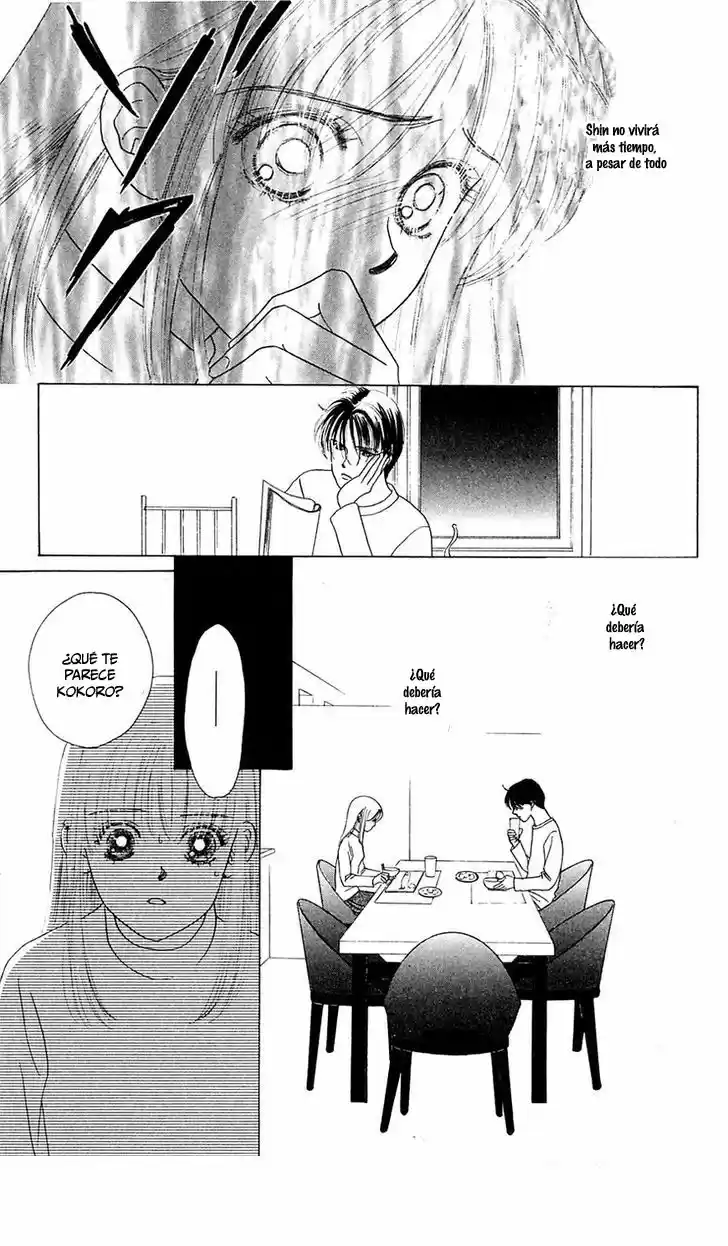 Only You – Tobenai Tsubasa (1997) - Capítulo 22 - Página 36 - LectorTMOo