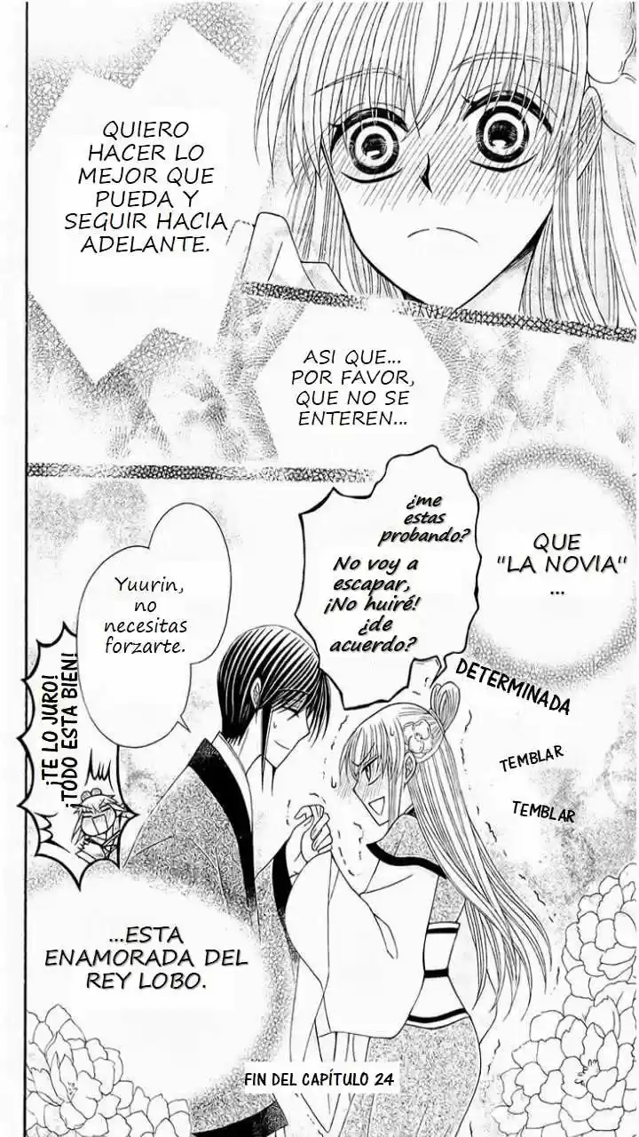 Ookami-heika no Hanayome (2009) - Capítulo 24 - Página 25 - LectorTMOo