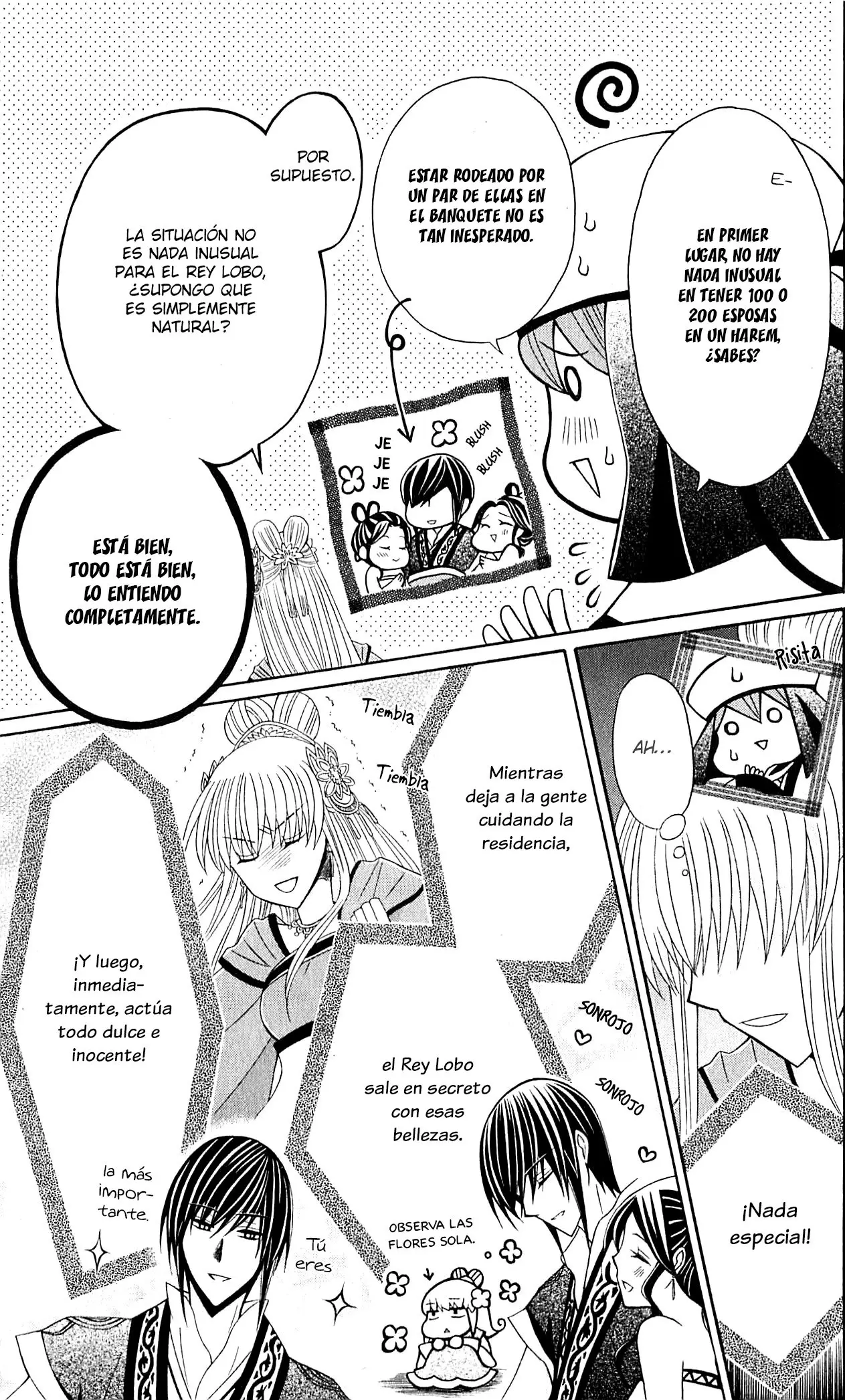 Ookami-heika no Hanayome (2009) - Capítulo 29 - Página 16 - LectorTMOo