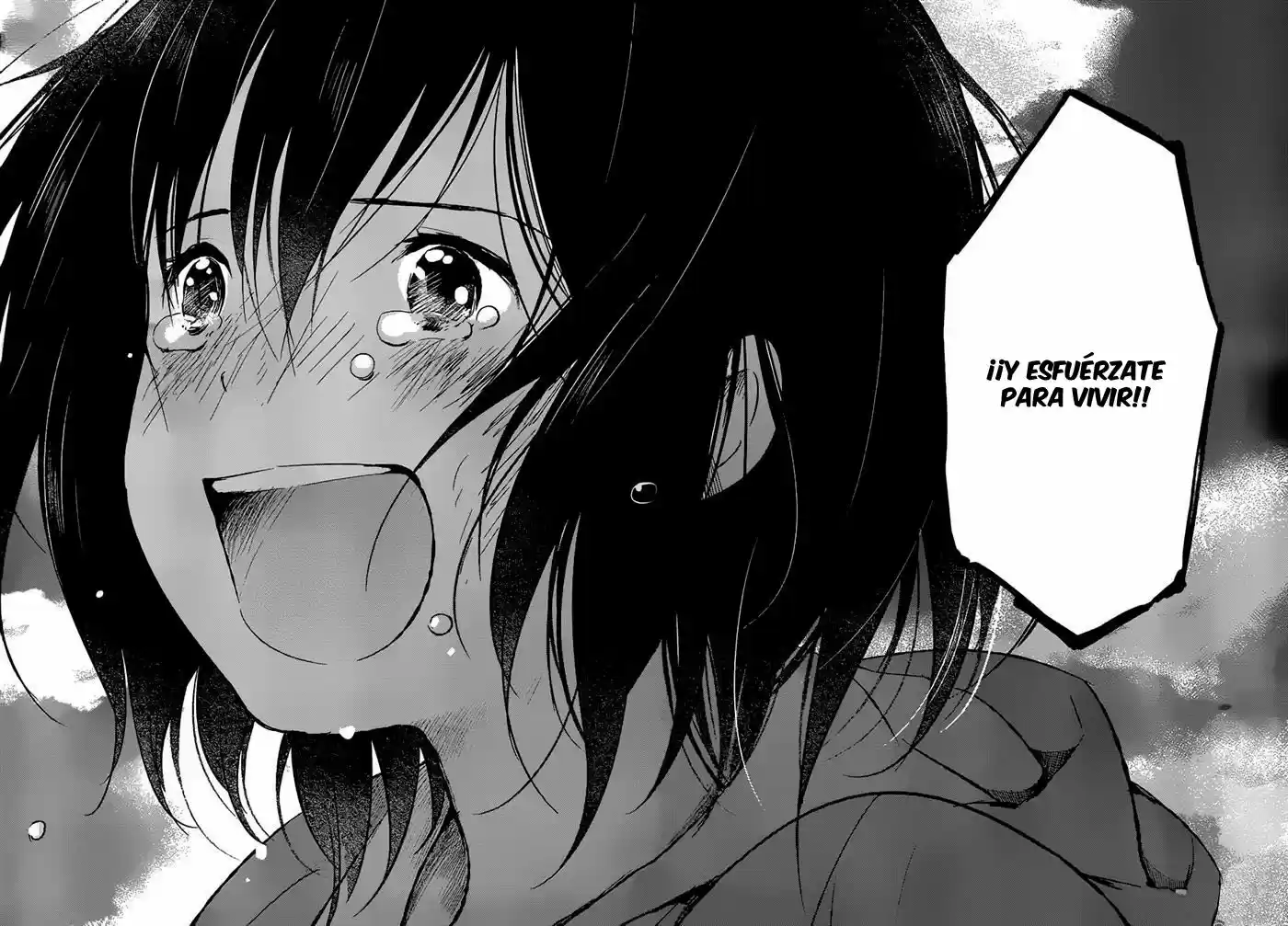 Ookami Kodomo No Ame To Yuki (2012) - Capítulo 16 - Página 14 - LectorTMOo