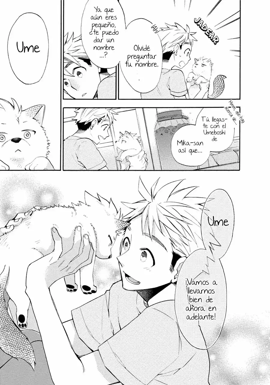 Ookami-san to Eroi koto - Capítulo 1 - Página 17 - LectorTMOo