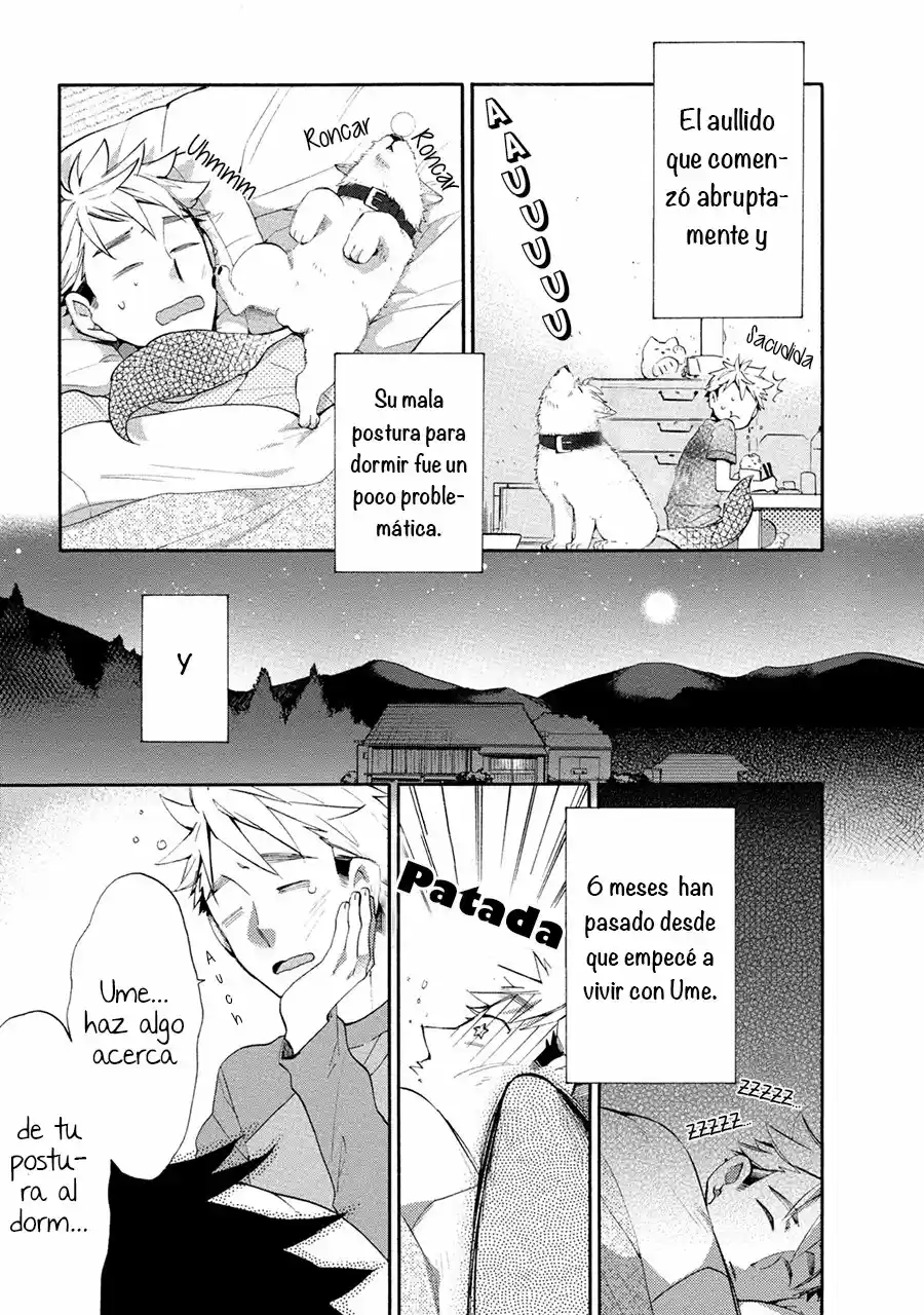Ookami-san to Eroi koto - Capítulo 1 - Página 19 - LectorTMOo