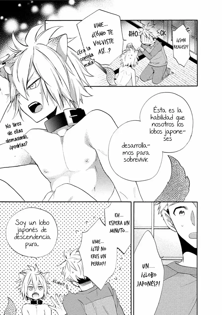 Ookami-san to Eroi koto - Capítulo 1 - Página 23 - LectorTMOo