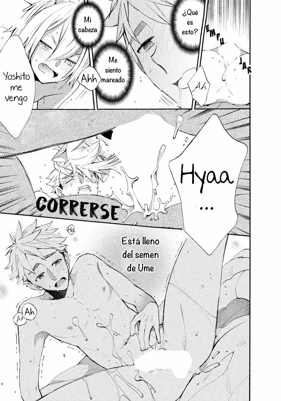 Ookami-san to Eroi koto - Capítulo 1 - Página 37 - LectorTMOo