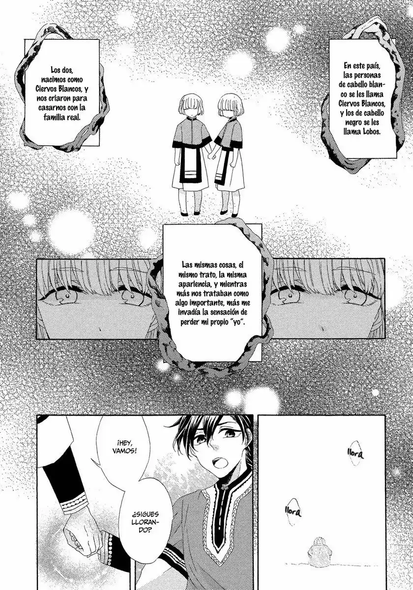 Ookami Wa Koi Ni Naku (2016) - Capítulo 3 - Página 18 - LectorTMOo