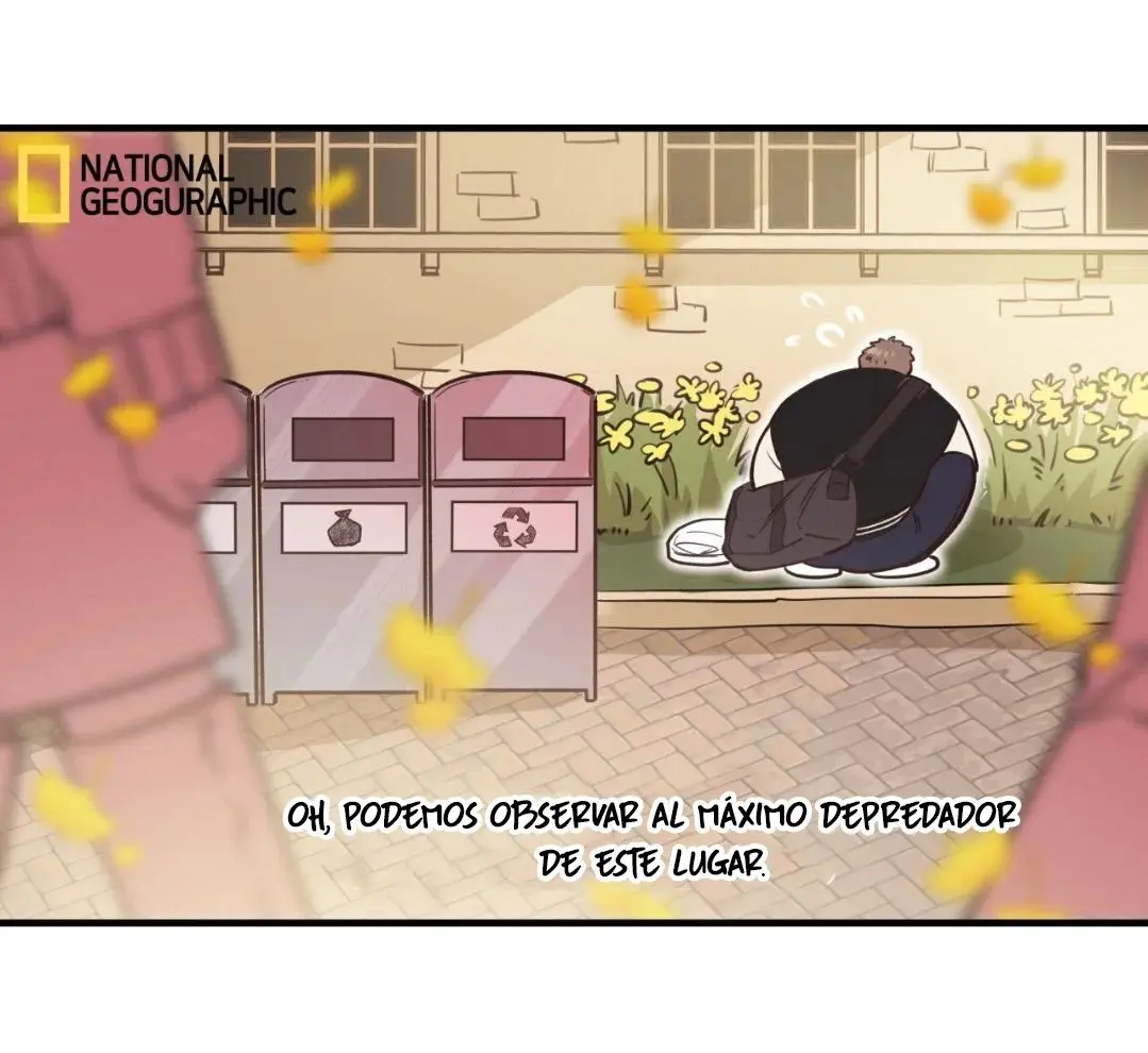 Osito de Miel (Honey Bear) (2023) - Capítulo 31 - Página 7 - LectorTMOo