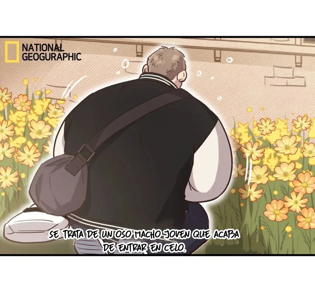 Osito de Miel (Honey Bear) (2023) - Capítulo 31 - Página 8 - LectorTMOo