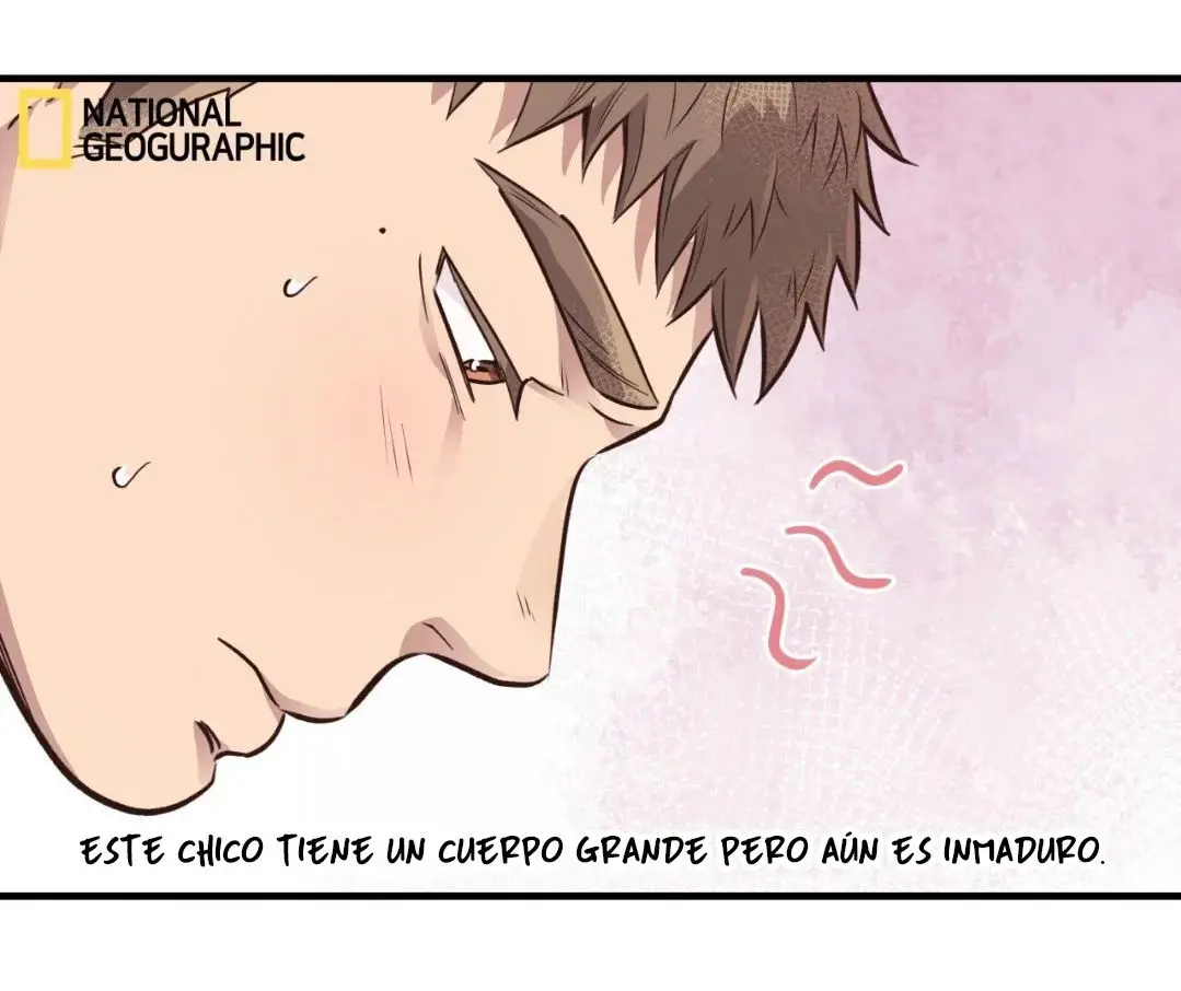 Osito de Miel (Honey Bear) (2023) - Capítulo 31 - Página 9 - LectorTMOo