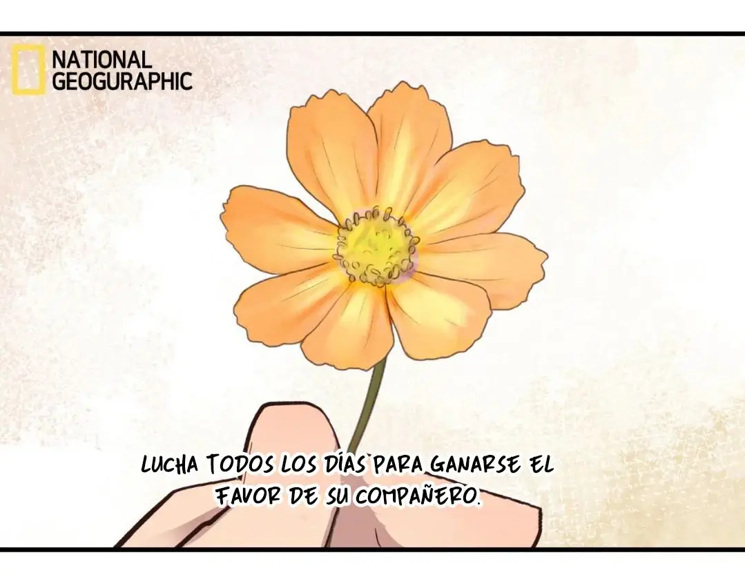 Osito de Miel (Honey Bear) (2023) - Capítulo 31 - Página 10 - LectorTMOo